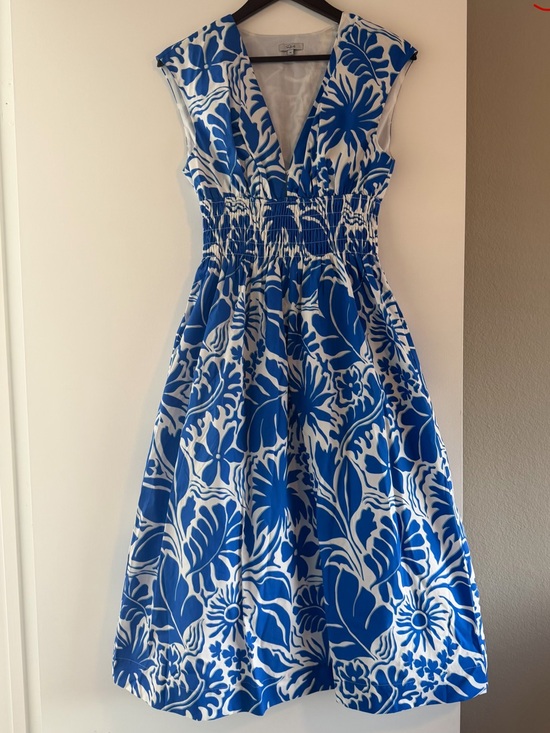Rails Dresses & Skirts - Rails Roxanne Blue and White Floral Midi Dress